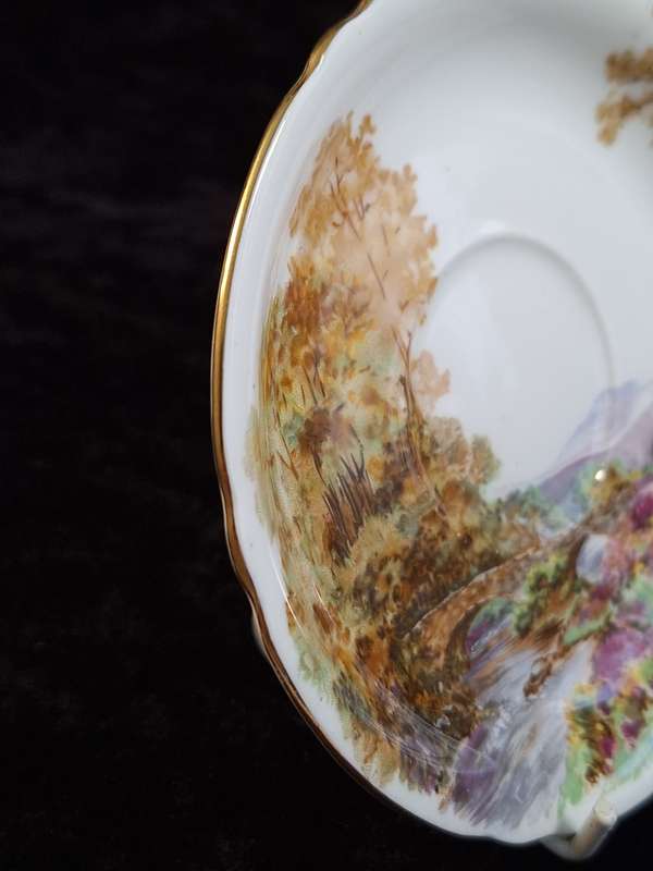 Shelley - Heather Coffee Saucer - 0187 - A.