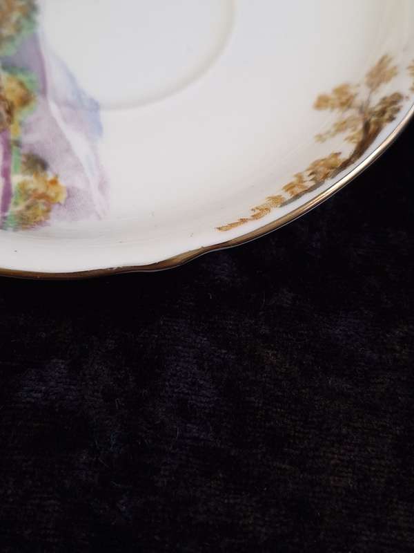 Shelley - Heather Coffee Saucer - 0187 - A.