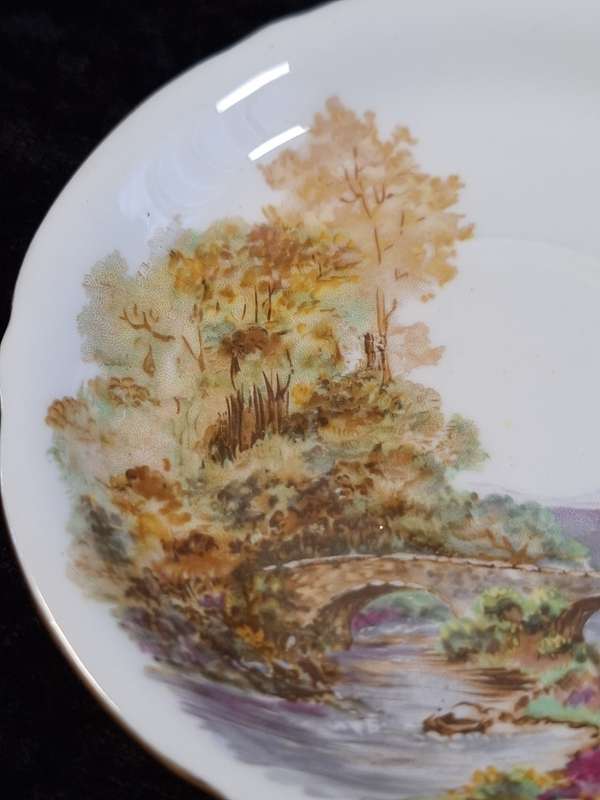 Shelley - Heather Coffee Saucer - 0187 - B.
