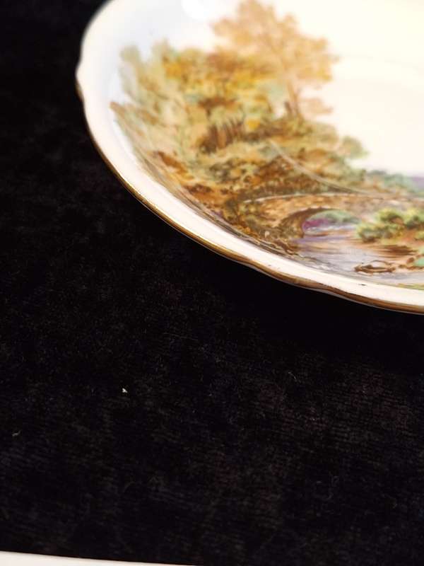 Shelley - Heather Coffee Saucer - 0187 - B.