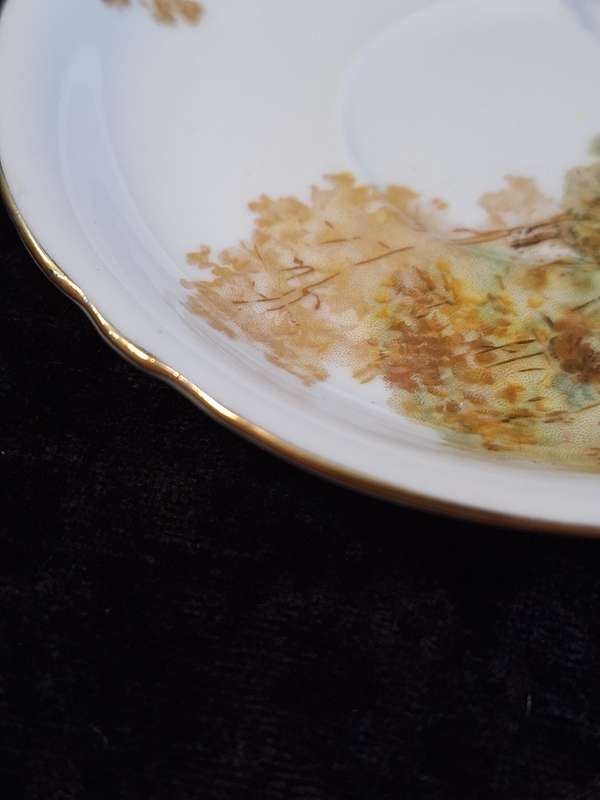 Shelley - Heather Coffee Saucer - 0187 - B.