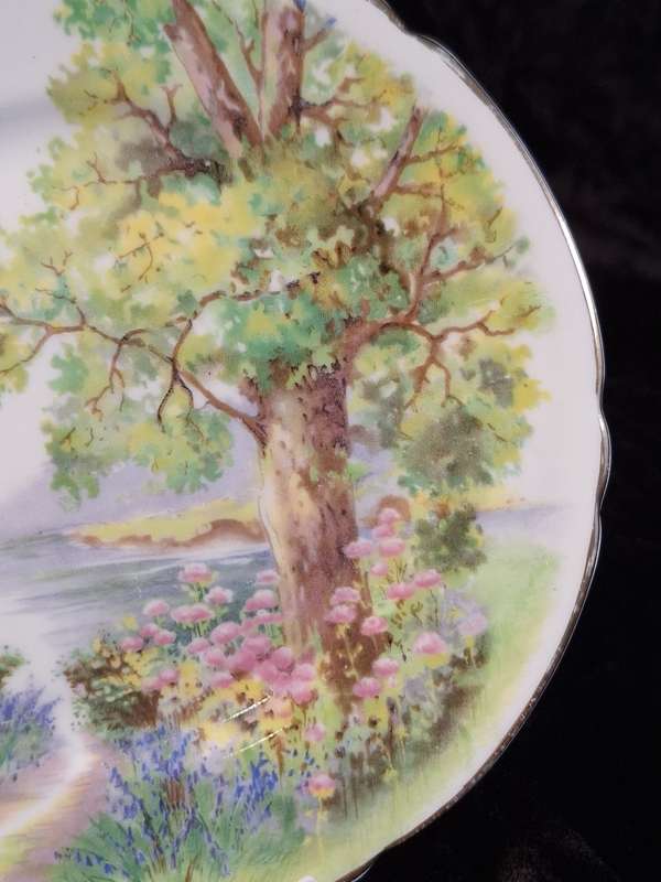 Shelley - Woodlands Small Plate - 13348 - A.