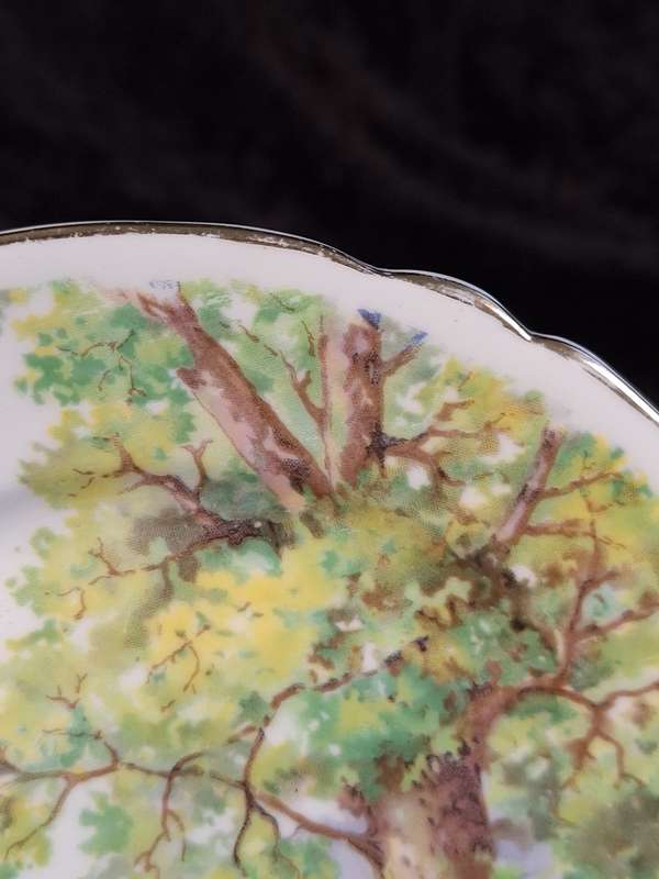 Shelley - Woodlands Small Plate - 13348 - A.