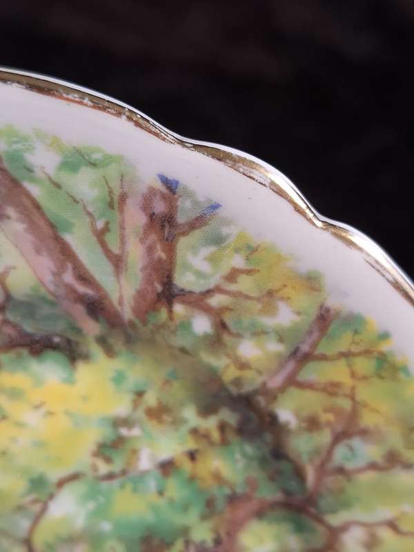 Shelley - Woodlands Small Plate - 13348 - A.