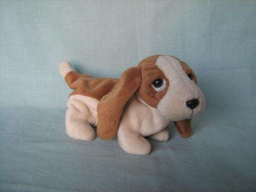 BASSET DOG