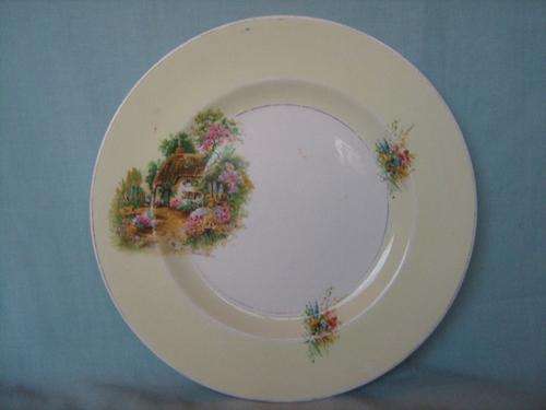 MIDWINTER PLATE