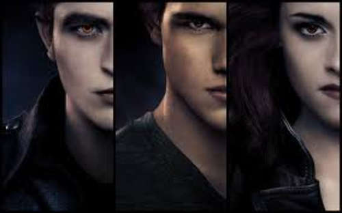 Twilight Saga Bundle (5 books & 7 DVD's)