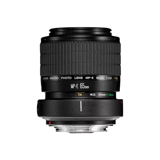 Canon MP-E 65mm f/2.8 1-5x Macro Lens