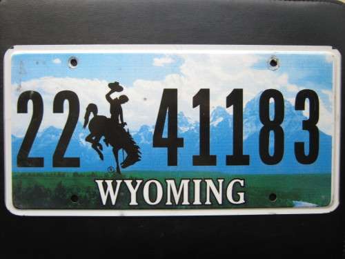 Original American license plate, must have for your bar or mancave