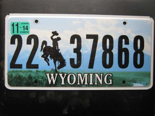 Original American license plate, must have for your bar or mancave