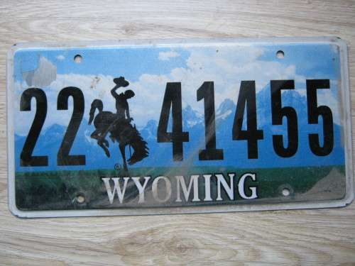 Original American license plate, must have for your bar or mancave