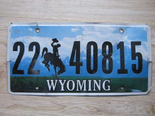 Original American license plate, must have for your bar or mancave