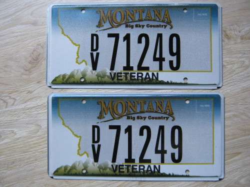 Original American license plate, must have for your bar or mancave