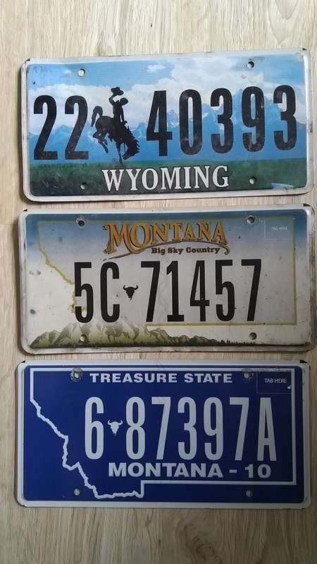 American License plates
