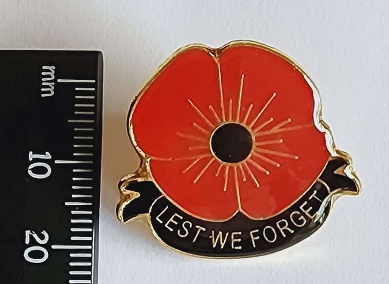 Metal Poppy pin