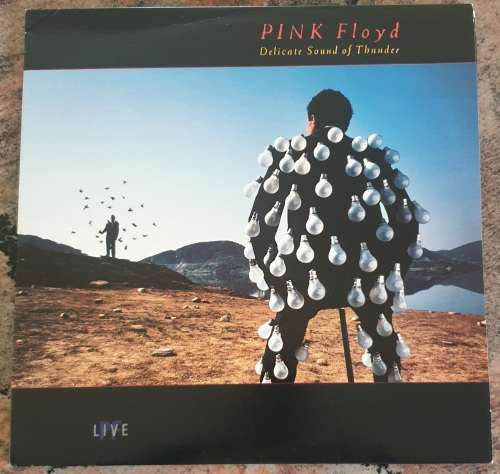 PINK FLOYD Delicate Sound Of Thunder - Double LP (VG+/VG+) CBS SCBS 3244 SA Pressing 1988 - Gatefold