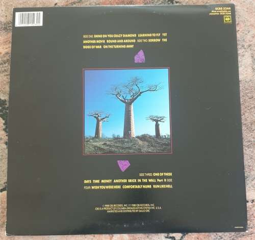 PINK FLOYD Delicate Sound Of Thunder - Double LP (VG+/VG+) CBS SCBS 3244 SA Pressing 1988 - Gatefold