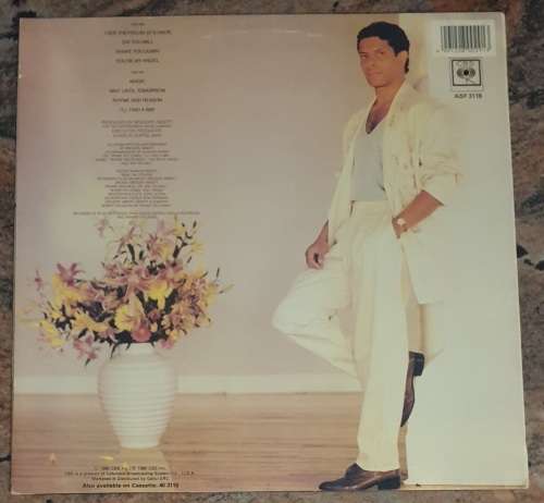 GREGORY ABBOTT Shake You Down (Very Good+/Very Good+) CBS ASF 3119 SA Pressing 1986