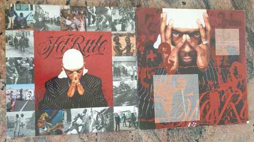 JA RULE Pain Is Love - Double LP (VG/VG) Def Jam Records USA Pressing 2001 - VERY RARE - Gatefold