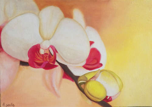 Orchid - Oil painting on canvas (200mm x 290mm x 20mm)
