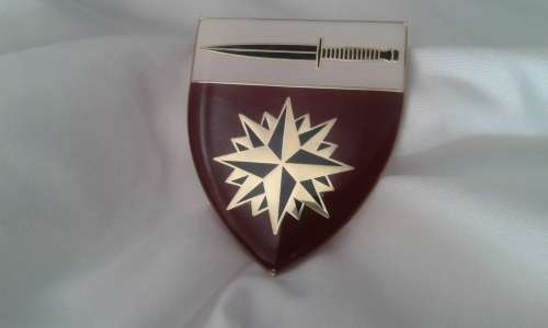 SPECIAL FORCES SCHOOL shoulder flash