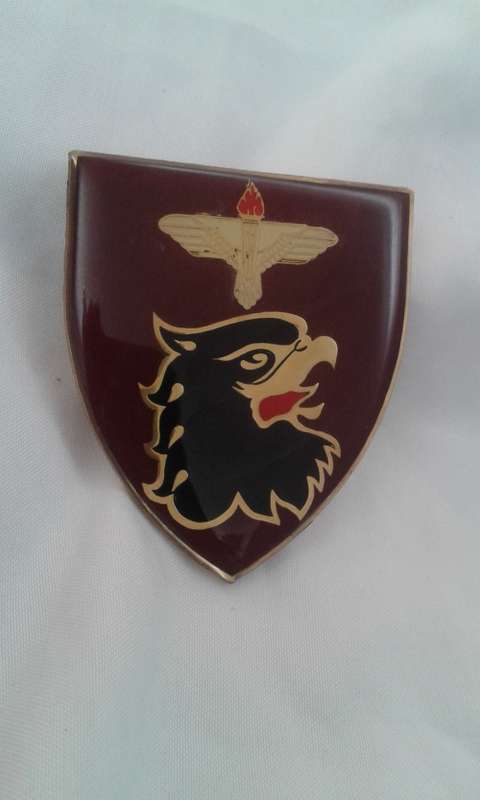 44 Parachute Brigade Pathfinder Platoon (LEFT) - shoulder flash