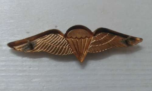 SA PARATROOPER BASIC WING