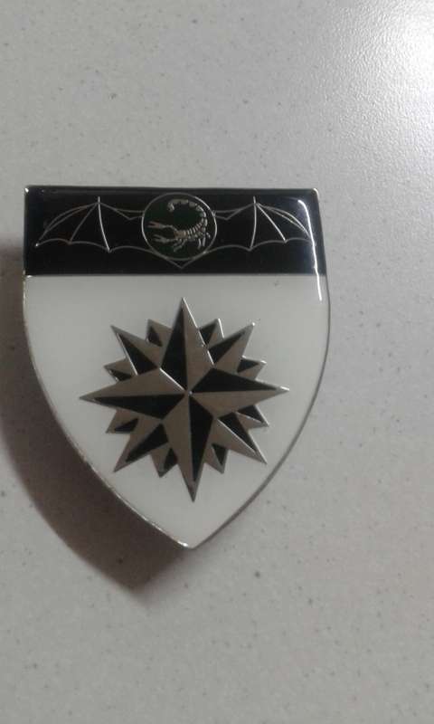 LOW START!!!!  2-RECCE REGIMENT SHOULDER FLASH