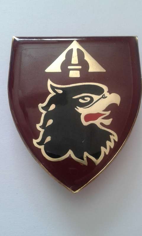 Very LOW START!!!  44 Parachute Brigade- Anti-Aircraft Regiment shoulder FLASH