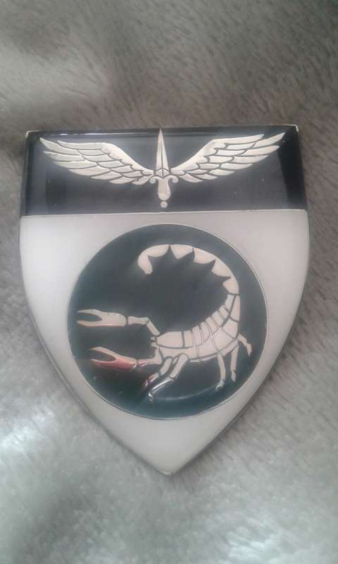 BID NOW!!! LOW START !!! 2- RECCE COMMANDO REGIMENT SHOULDER FLASH