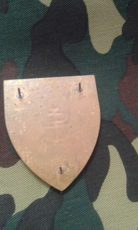 SADF ARMY GYMNASIUM SHOULDER FLASH