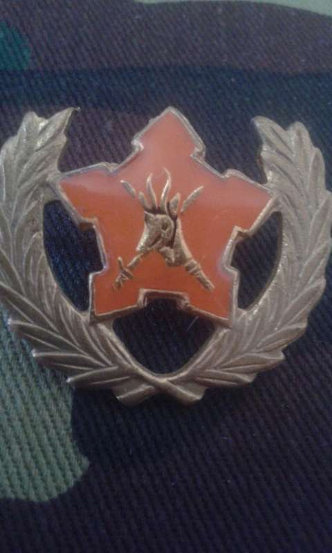 SADF 5-YEAR VOLUNTARY SERVICE BREAST BADGE