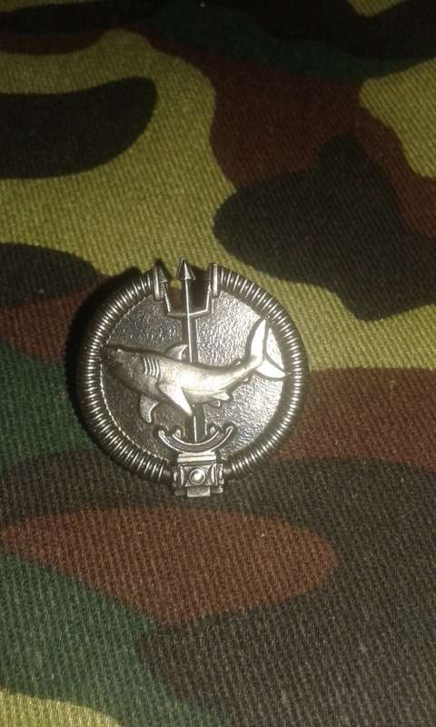 SADF RECCE ATTACK DIVER BADGE
