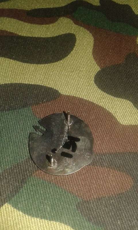 SADF RECCE ATTACK DIVER BADGE