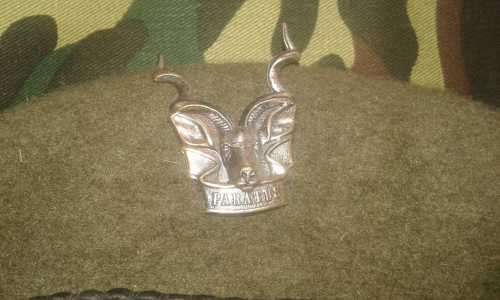 SADF -******LOW START!!!  SWATF AREA FORCE BERET WITH CAP BADGE ---ORIGINAL