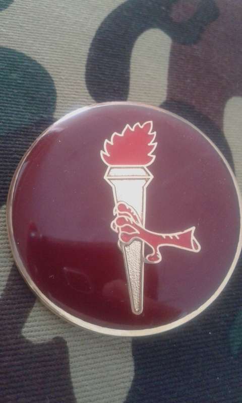 SADF 44 PARACHUTE BRIGADE   PATHFINDER UNIT SHOULDER FLASH