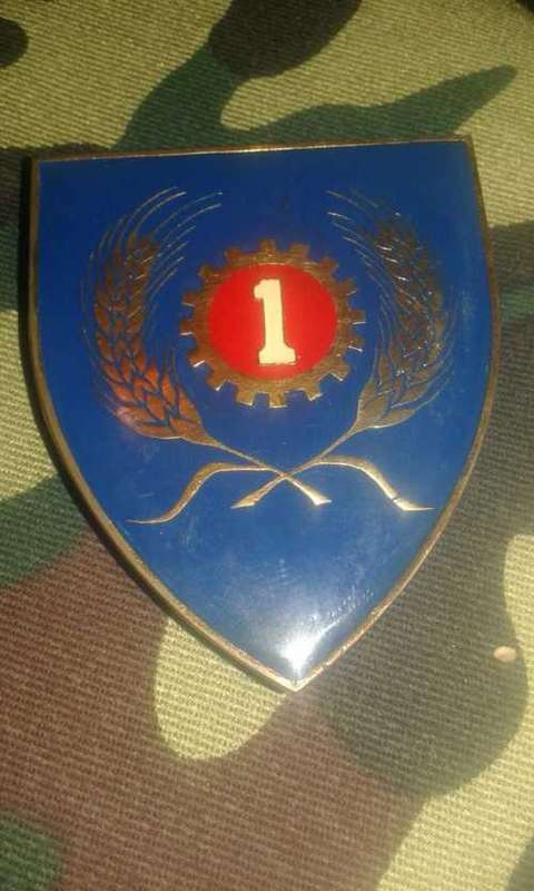 SADF 1 MAINTENANCE UNIT SHOULDER FLASH  -- ALL PINS