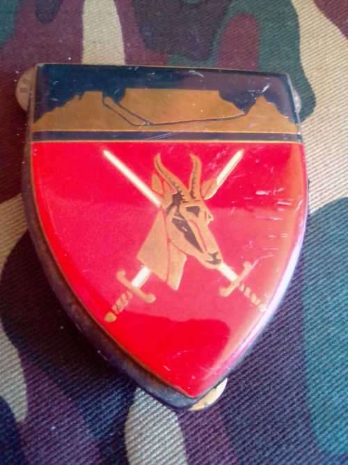 SADF/ SA ARMY WP COMMAND HQ SHOULDER FLASH ---WITH PINS