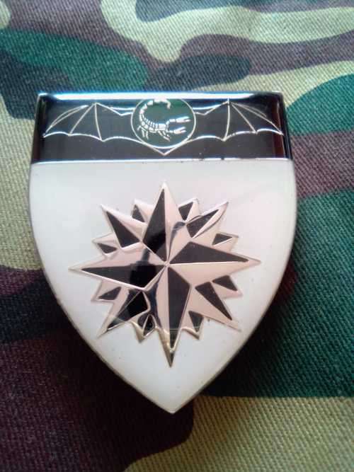 SADF 2 RECCE REGIMENT SHOULDER FLASH - WITH PINS