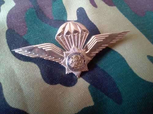 SADF  - SAP TASK FORCE PARACHUTE WING - FULL SIZE