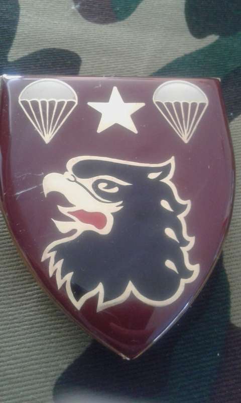 SADF  4 PARACHUTE BATTALION SHOULDER FLASH