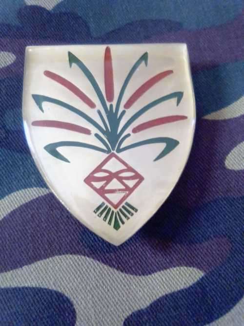 SADF SWA 202 BATTALION SHOULDER FLASH