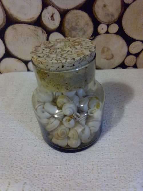 JAR FILLED WITH WHITE MINI  SHELLS