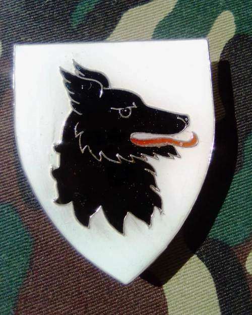 SADF HAY COMMANDO SHOULDER FLASH