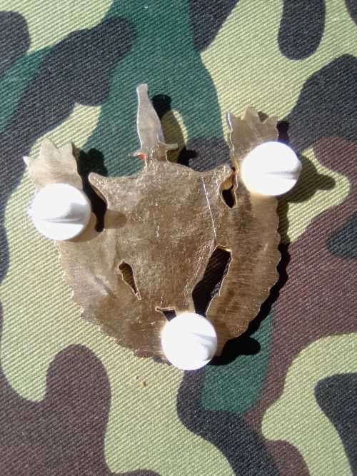 SADF EXECUTIVE OUTCOMES RECCE/OPERATOR - 2ND TYPE- BREAST BADGE
