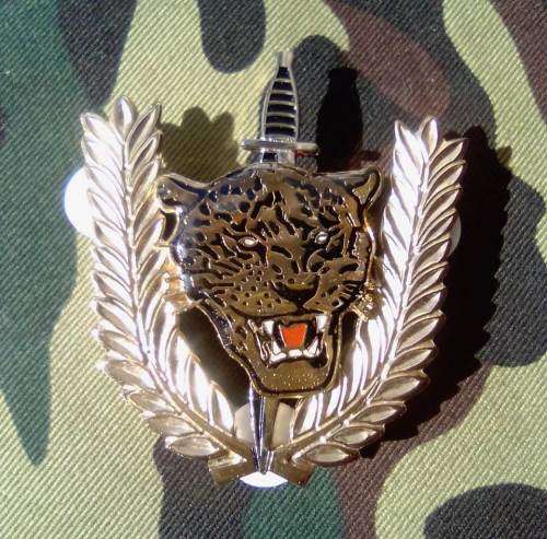 SADF EXECUTIVE OUTCOMES RECCE/OPERATOR - 2ND TYPE- BREAST BADGE