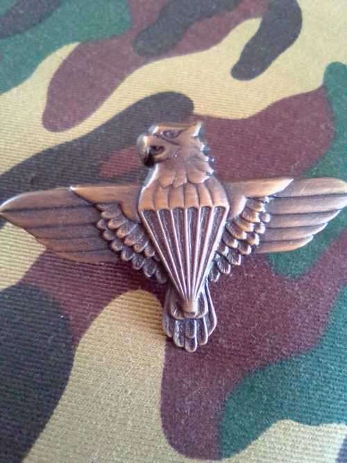 SADF 44 PARACHUTE BRIGADE BERET BADGE