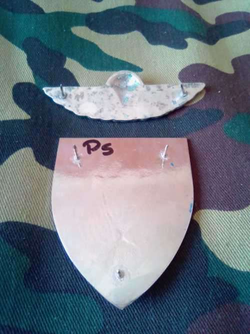 SADF 101 AIR SUPPLY  COMPANY SHOULDER FLASH AND WING - SET
