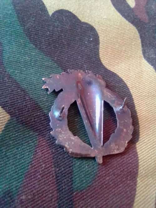 SADF PATHFINDER BREAST BADGE