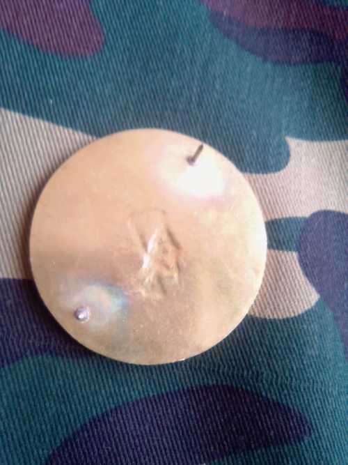 SADF 44 PARACHUTE BRIGADE PATHFINDER UNIT FLASH
